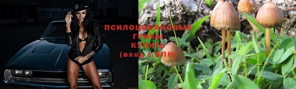Альфа ПВП Балабаново