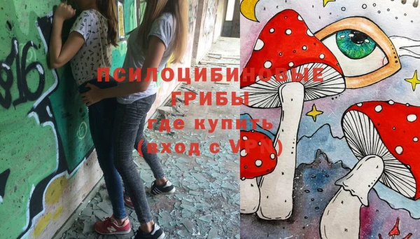 Альфа ПВП Балабаново